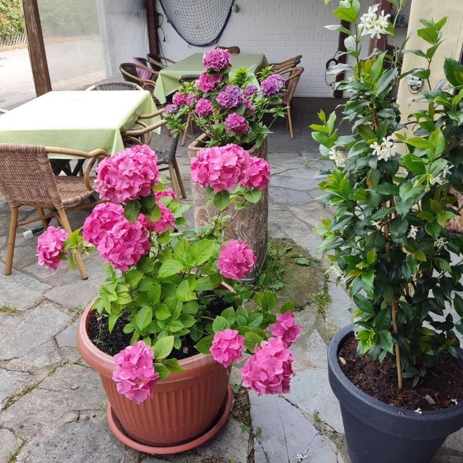 Taverna Hotel Roemerkrug Hannover Kültér fotó